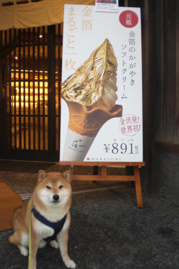 Kanazawa Share House Gaooo Ngoại thất bức ảnh
