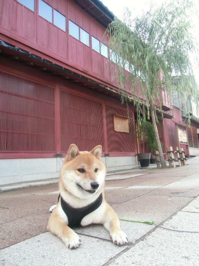 Kanazawa Share House Gaooo Ngoại thất bức ảnh